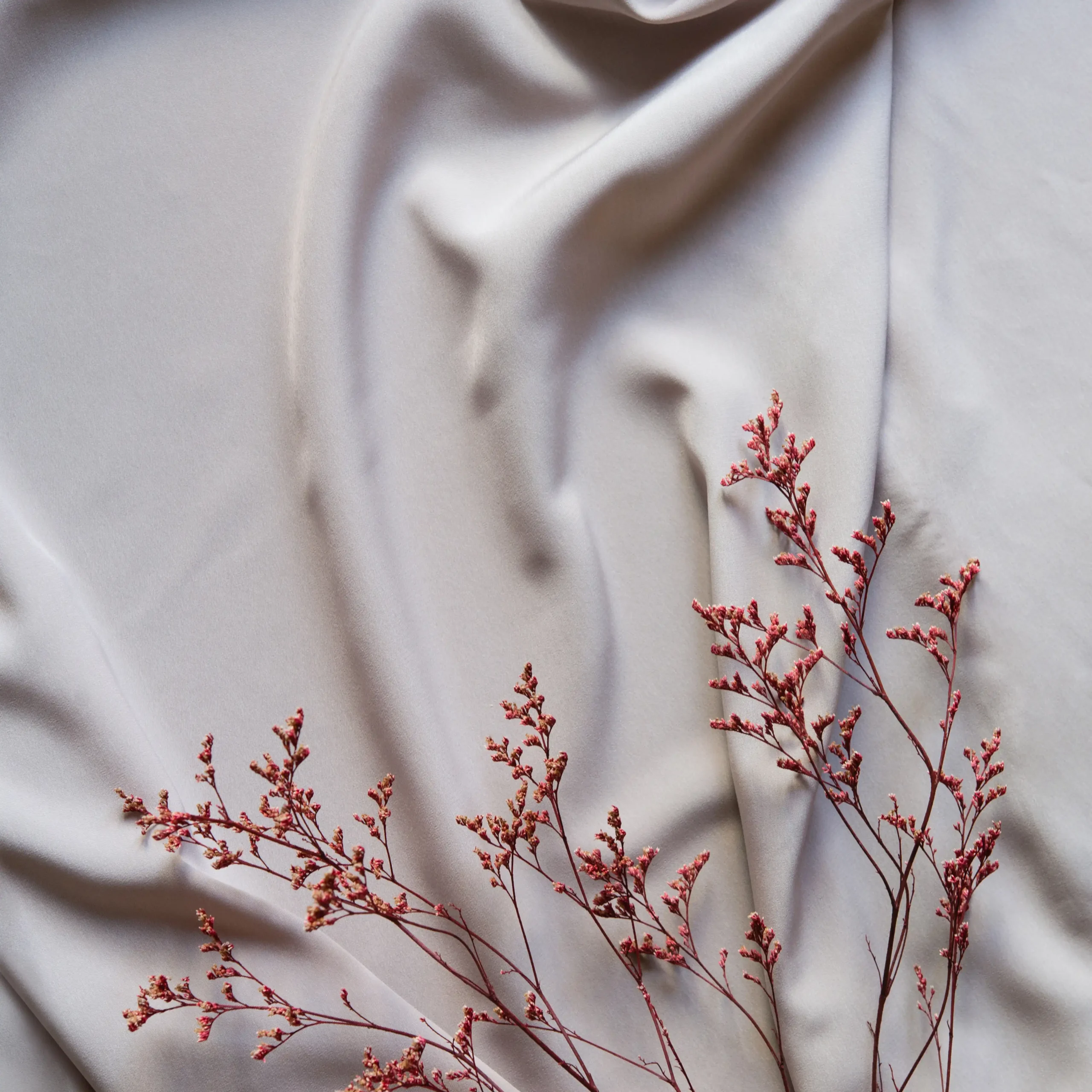 minimalistic-background-with-dry-flowers-on-pastel-2026-01-07-00-36-06-utc