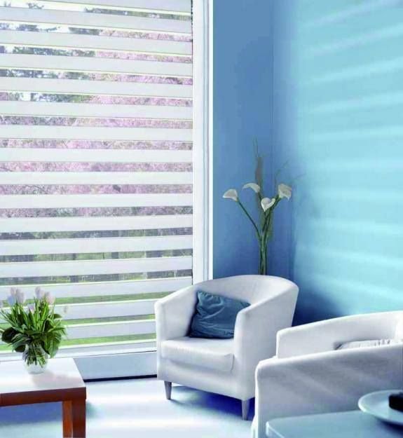 Why Are Zebra Blinds a Popular Choice in Johor Bahru Interiors?