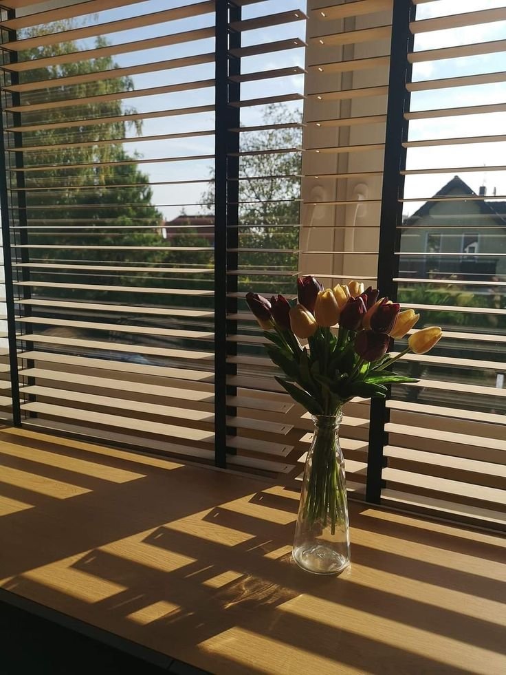 Where to Buy Timber Blinds in Johor Bahru
