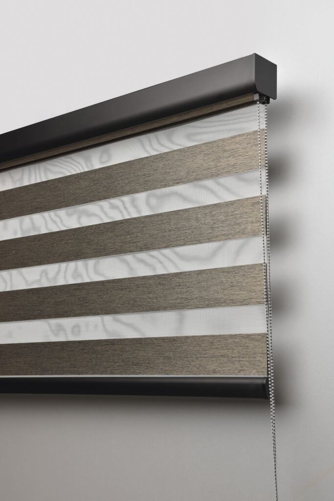Zebra Blinds vs Roller Blinds: Which One Should You Choose? 